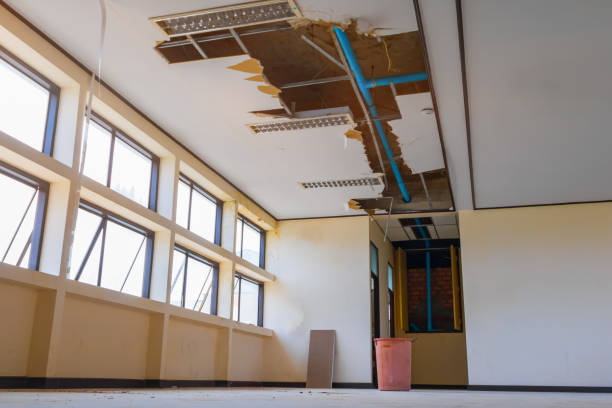 Best Basement water damage restoration  in Newport East, RI