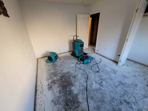 Water damage restoration experts in Newport East, RI