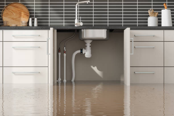 Best Flood damage cleanup  in Newport East, RI