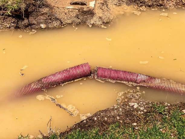 Best Residential water damage restoration  in Newport East, RI
