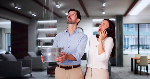 Best Ceiling water damage repair  in Newport East, RI