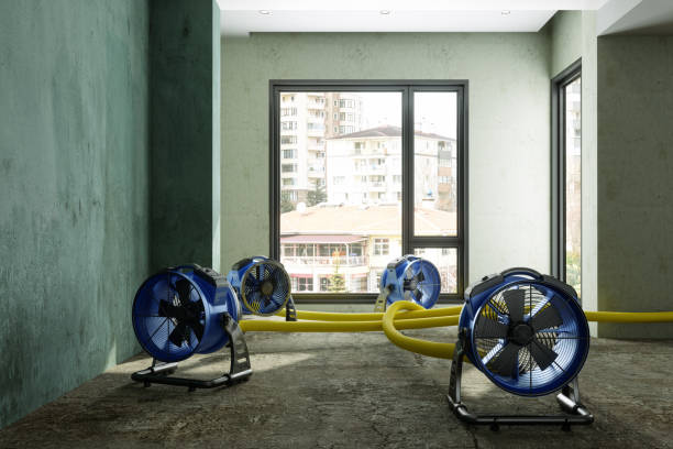 Best Sewage cleanup and water damage restoration  in Newport East, RI